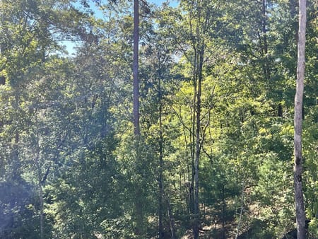 Ellijay, GA 30540 Gilmer County