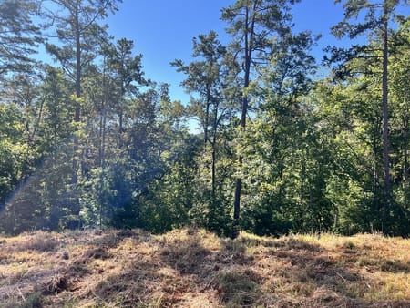 Ellijay, GA 30540 Gilmer County