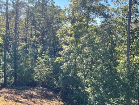 Ellijay, GA 30540 Gilmer County
