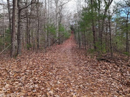 Blairsville, GA 30512 Union County
