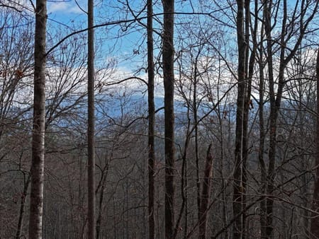 Blairsville, GA 30512 Union County