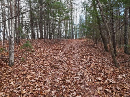 Blairsville, GA 30512 Union County
