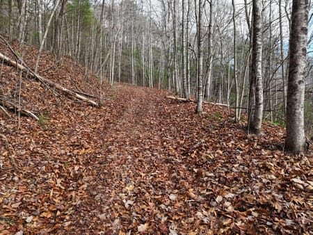 Blairsville, GA 30512 Union County