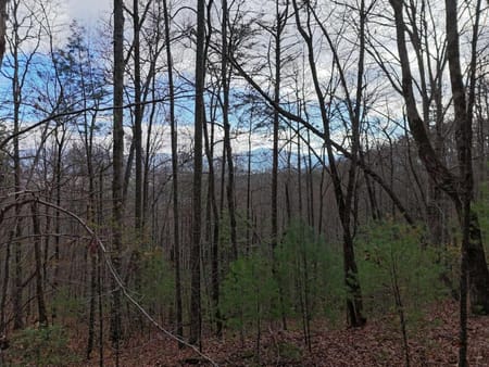 Blairsville, GA 30512 Union County