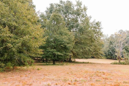 Watkinsville, GA 30677 Oconee County