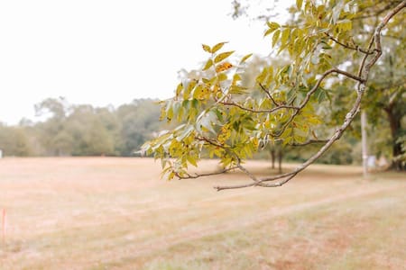 Watkinsville, GA 30677 Oconee County