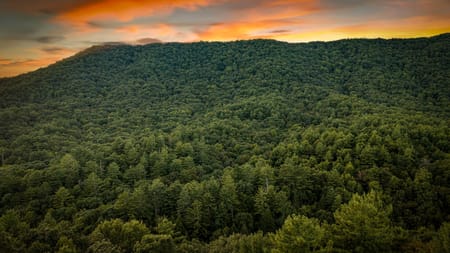 Ellijay, GA 30536 Gilmer County