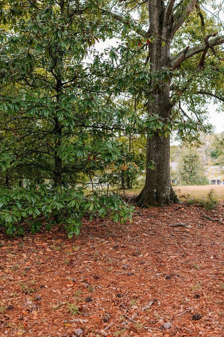 Watkinsville, GA 30677 Oconee County