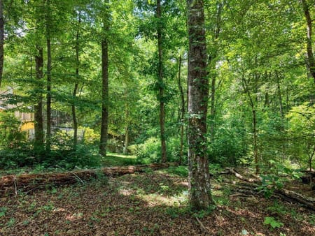 Hiawassee, GA 30546 Towns County