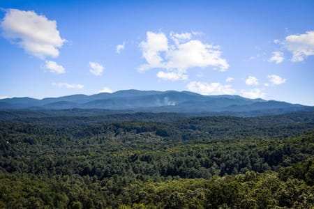 Mineral Bluff, GA 30559 Fannin County