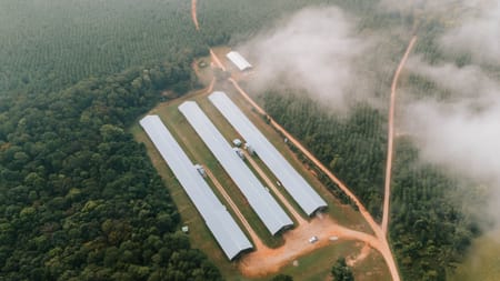 Stephens, GA 30667 Oglethorpe County