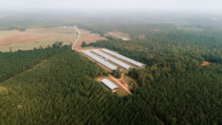 Stephens, GA 30667 Oglethorpe County