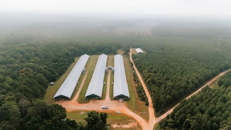 Stephens, GA 30667 Oglethorpe County