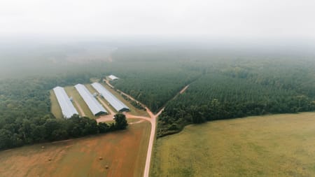 Stephens, GA 30667 Oglethorpe County
