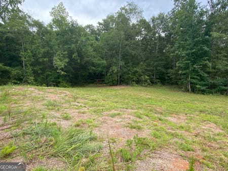 Barnesville, GA 30204 Lamar County