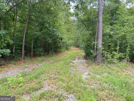 Barnesville, GA 30204 Lamar County