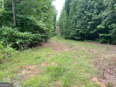 Barnesville, GA 30204 Lamar County