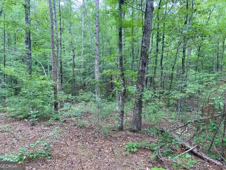 Barnesville, GA 30204 Lamar County