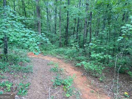 Barnesville, GA 30204 Lamar County
