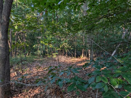 Canton, GA 30115 Cherokee County