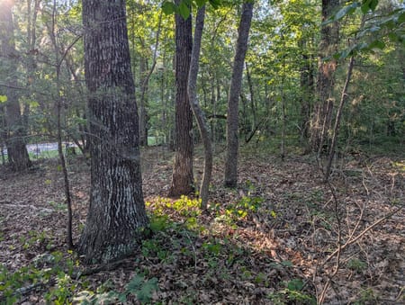Canton, GA 30115 Cherokee County