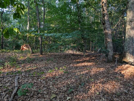 Canton, GA 30115 Cherokee County