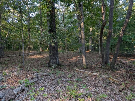 Canton, GA 30115 Cherokee County