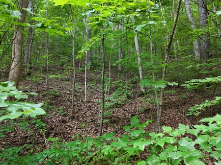 Blairsville, GA 30512 Union County