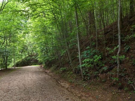 Blairsville, GA 30512 Union County