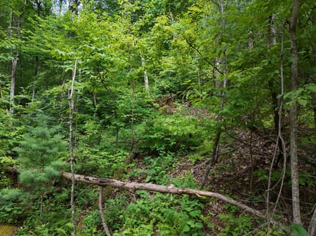 Blairsville, GA 30512 Union County