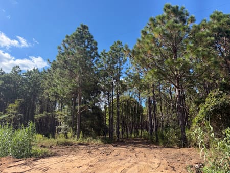 Blakely, GA 39823 Early County