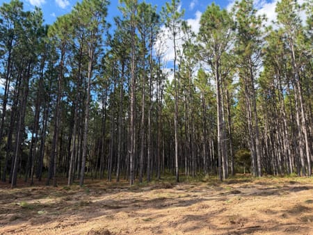 Blakely, GA 39823 Early County