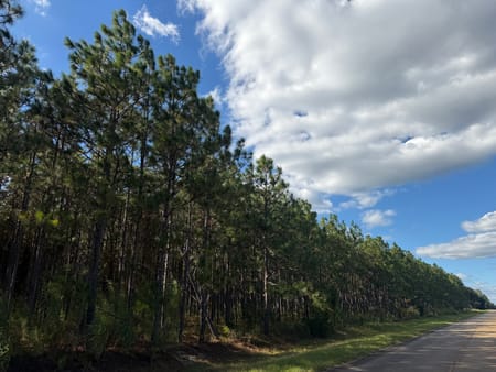 Blakely, GA 39823 Early County