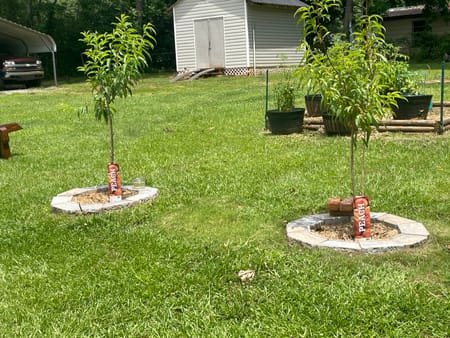 Manchester, GA 31816 Meriwether County