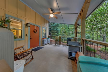 Mineral Bluff, GA 30559 Fannin County
