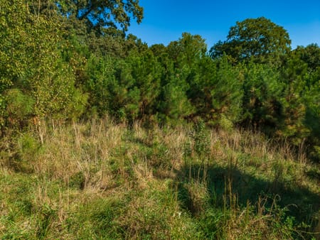 Cumming, GA 30028 Forsyth County