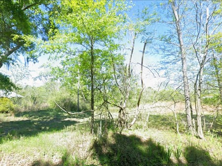 Hahira, GA 31632 Cook County