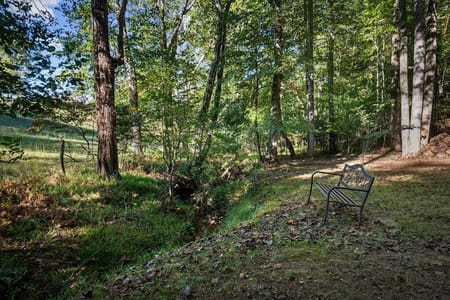 Blue Ridge, GA 30513 Fannin County