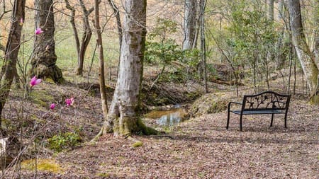 Blue Ridge, GA 30513 Fannin County