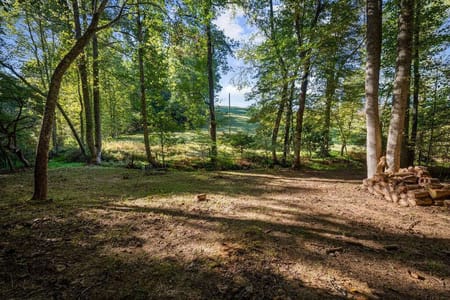 Blue Ridge, GA 30513 Fannin County