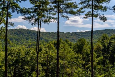 Blue Ridge, GA 30513 Fannin County