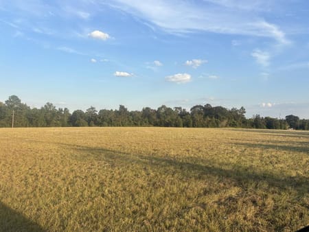 Mauk, GA 31058 Taylor County