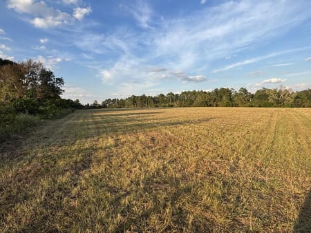 Mauk, GA 31058 Taylor County