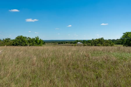 Mauk, GA 31058 Taylor County