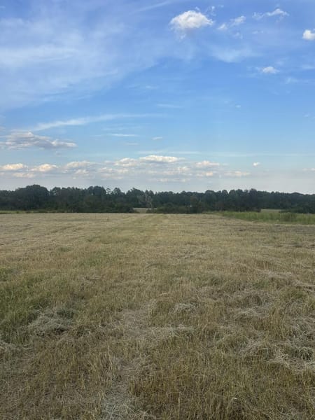 Mauk, GA 31058 Taylor County