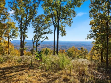 Talking Rock, GA 30175 Pickens County