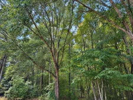 Senoia, GA 30276 Coweta County