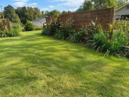 Senoia, GA 30276 Coweta County