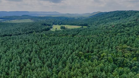 Lyerly, GA 30730 Chattooga County