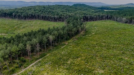 Lyerly, GA 30730 Chattooga County